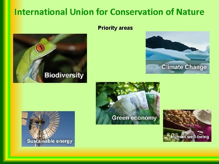 International Union for Conservation of Nature Priority areas 