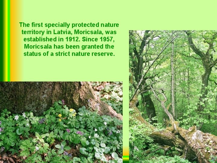 The first specially protected nature territory in Latvia, Moricsala, was established in 1912. Since