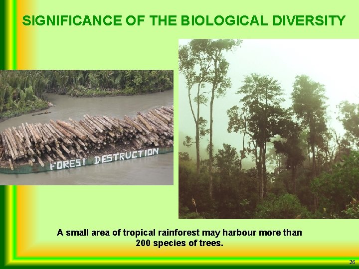 SIGNIFICANCE OF THE BIOLOGICAL DIVERSITY A small area of tropical rainforest may harbour more