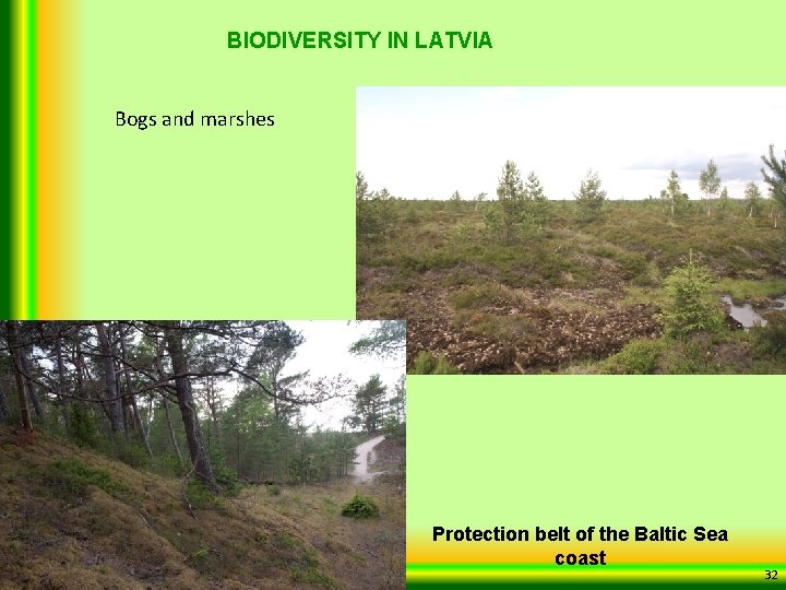 BIODIVERSITY IN LATVIA Bogs and marshes Protection belt of the Baltic Sea coast 32