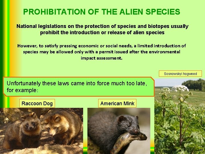 PROHIBITATION OF THE ALIEN SPECIES National legislations on the protection of species and biotopes