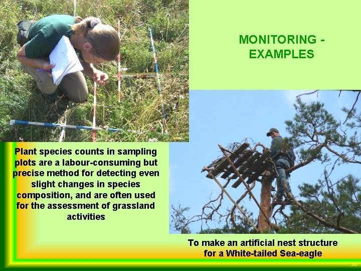 MONITORING EXAMPLES Plant species counts in sampling plots are a labour-consuming but precise method