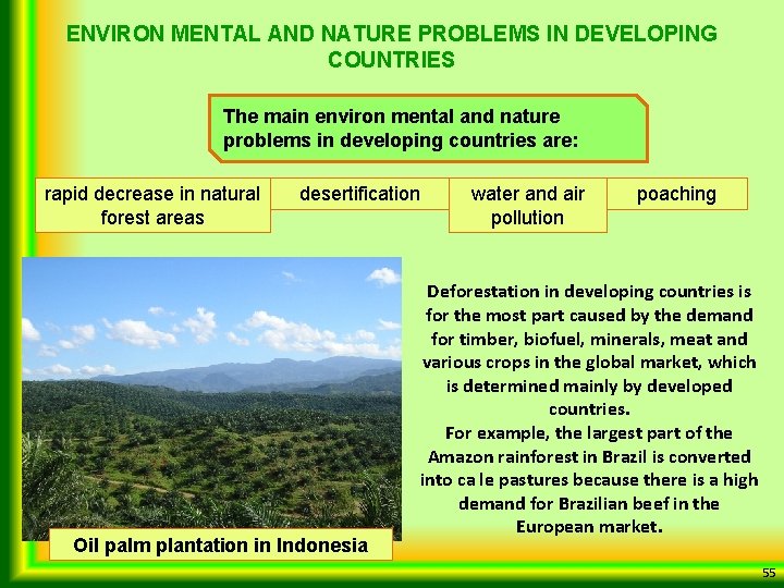 ENVIRON MENTAL AND NATURE PROBLEMS IN DEVELOPING COUNTRIES The main environ mental and nature