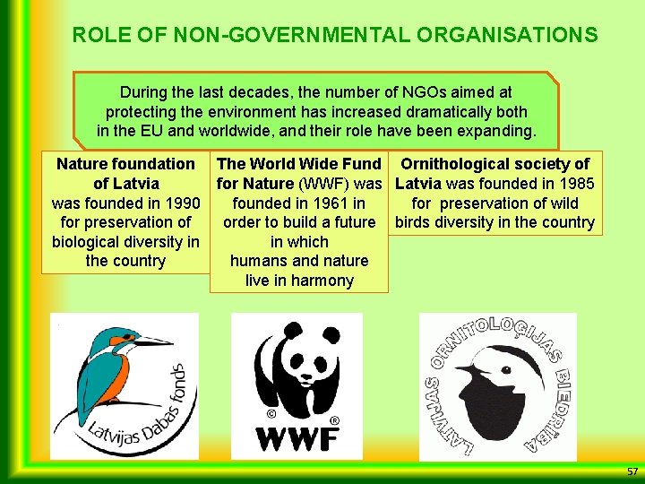 ROLE OF NON-GOVERNMENTAL ORGANISATIONS During the last decades, the number of NGOs aimed at