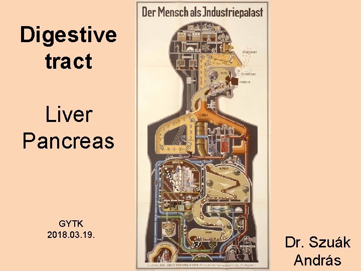 Digestive tract Liver Pancreas GYTK 2018. 03. 19. Dr. Szuák András 