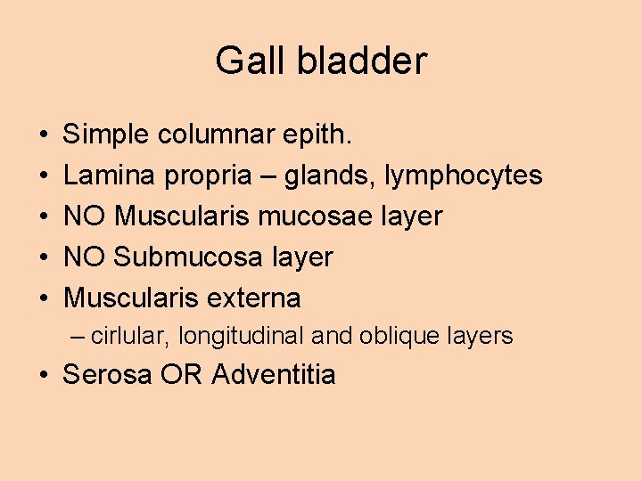 Gall bladder • • • Simple columnar epith. Lamina propria – glands, lymphocytes NO