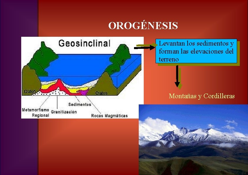 OROGÉNESIS Levantan los sedimentos y forman las elevaciones del terreno Montañas y Cordilleras 