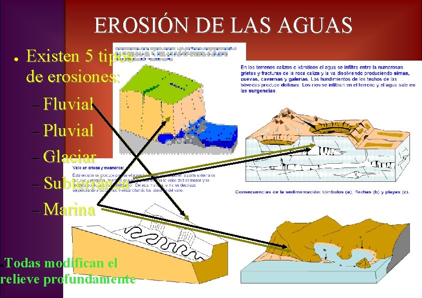 EROSIÓN DE LAS AGUAS ● Existen 5 tipos de erosiones: – Fluvial – Pluvial