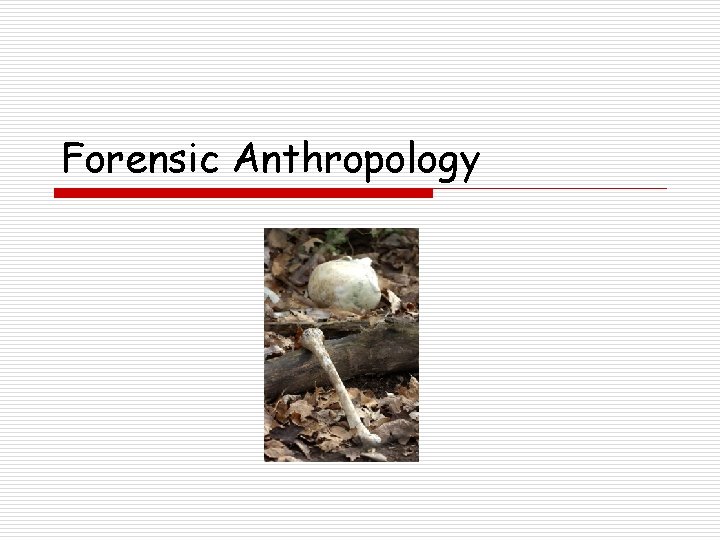 Forensic Anthropology 