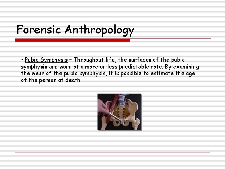 Forensic Anthropology • Pubic Symphysis – Throughout life, the surfaces of the pubic symphysis