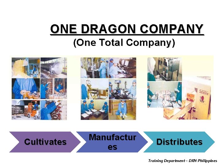 ONE DRAGON COMPANY (One Total Company) Cultivates Manufactur es Distributes Training Department – DXN