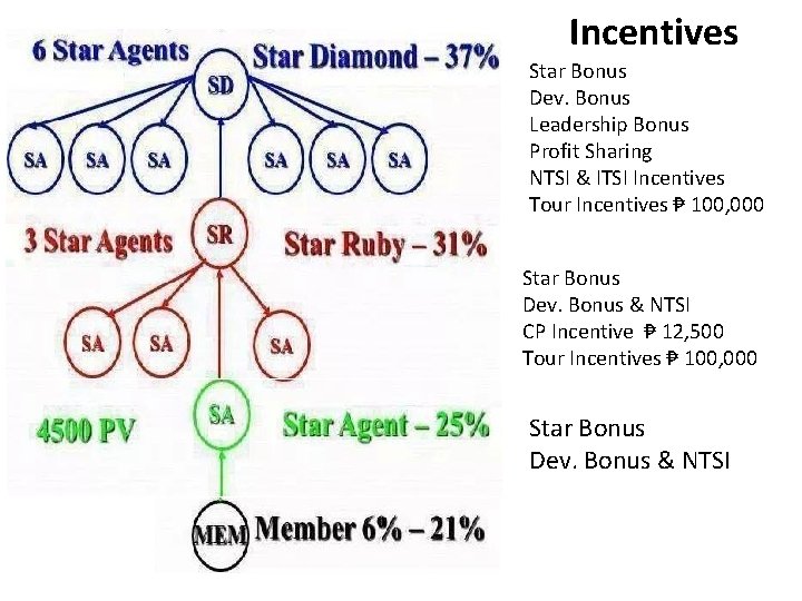 Incentives Star Bonus Dev. Bonus Leadership Bonus Profit Sharing NTSI & ITSI Incentives Tour