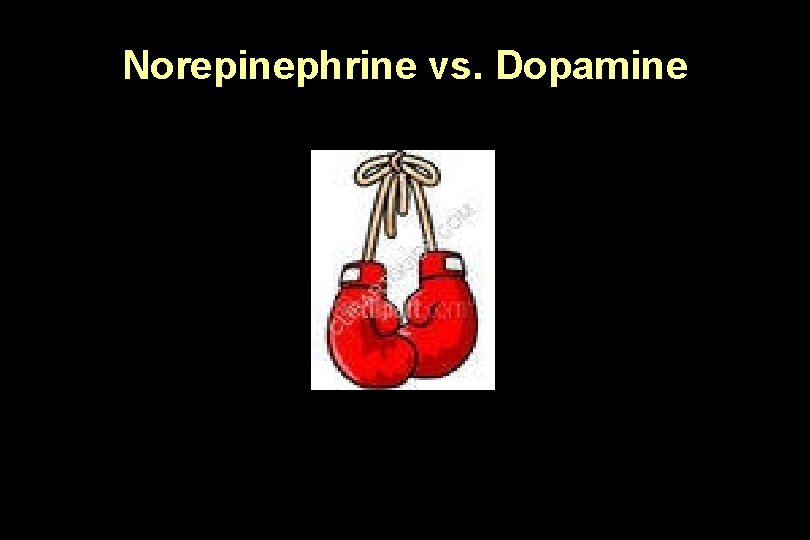 Norepinephrine vs. Dopamine 