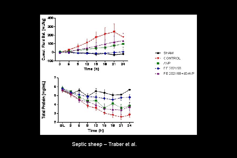 Septic sheep – Traber et al. 