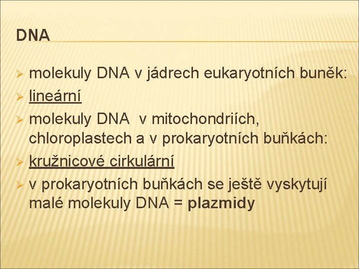 DNA molekuly DNA v jádrech eukaryotních buněk: Ø lineární Ø molekuly DNA v mitochondriích,