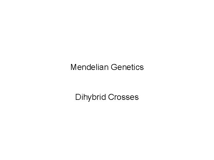 Mendelian Genetics Dihybrid Crosses 