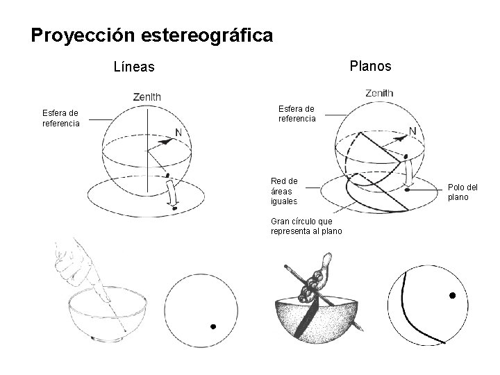 Proyección estereográfica Planos Líneas Esfera de referencia Red de áreas iguales Gran círculo que