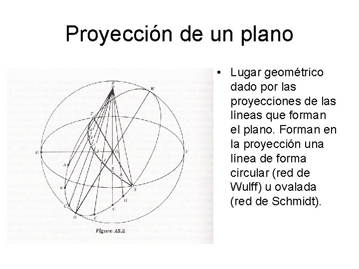 Proyección de un plano • Lugar geométrico dado por las proyecciones de las líneas