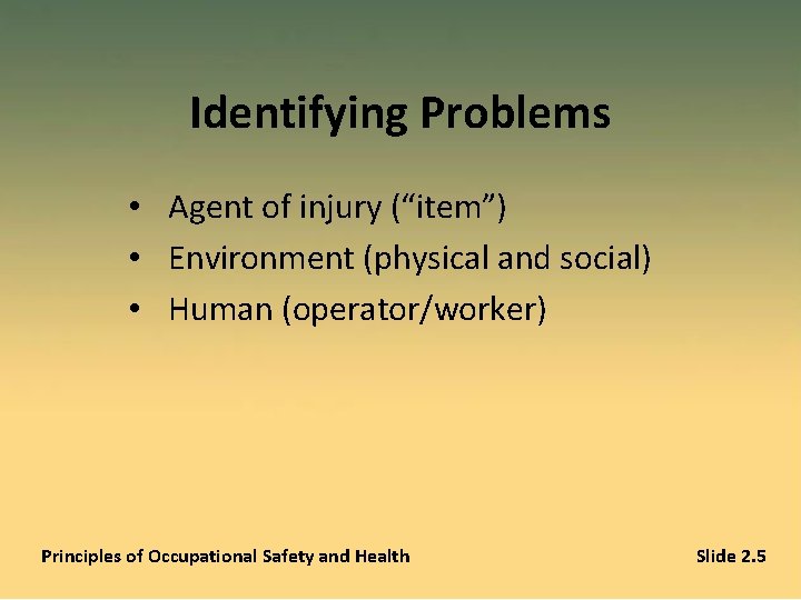 Identifying Problems • Agent of injury (“item”) • Environment (physical and social) • Human