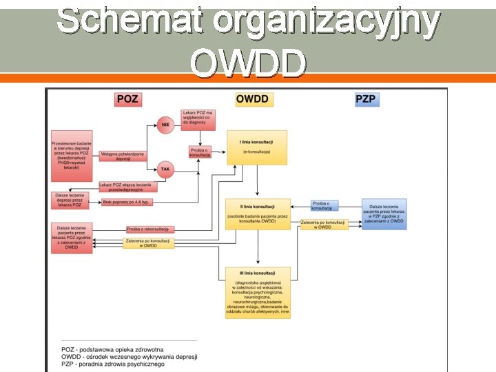 Schemat organizacyjny OWDD 