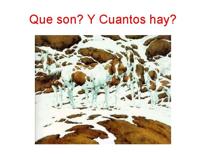 Que son? Y Cuantos hay? 