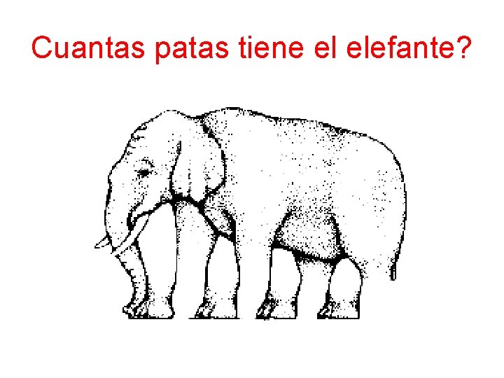 Cuantas patas tiene el elefante? 