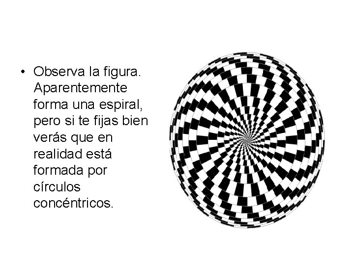  • Observa la figura. Aparentemente forma una espiral, pero si te fijas bien