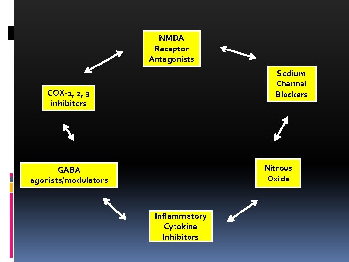 NMDA Receptor Antagonists Sodium Channel Blockers COX-1, 2, 3 inhibitors Nitrous Oxide GABA agonists/modulators