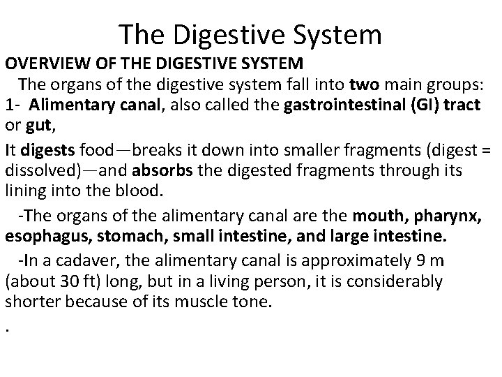 The Digestive System OVERVIEW OF THE DIGESTIVE SYSTEM The organs of the digestive system