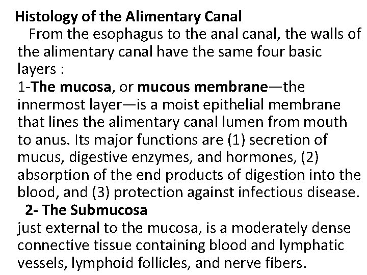  Histology of the Alimentary Canal From the esophagus to the anal canal, the