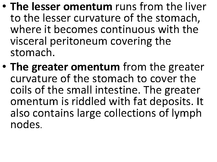  • The lesser omentum runs from the liver to the lesser curvature of