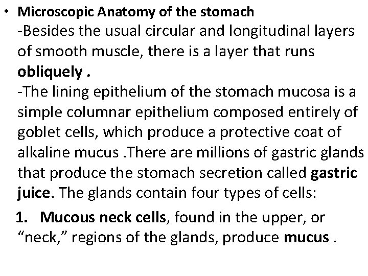  • Microscopic Anatomy of the stomach -Besides the usual circular and longitudinal layers
