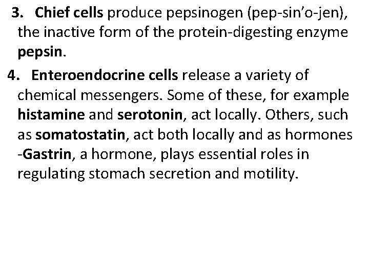  3. Chief cells produce pepsinogen (pep-sin′o-jen), the inactive form of the protein-digesting enzyme