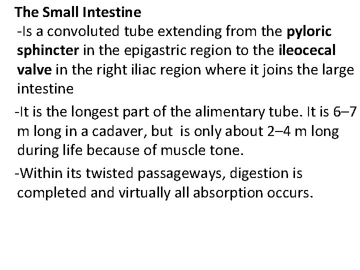  The Small Intestine -Is a convoluted tube extending from the pyloric sphincter in