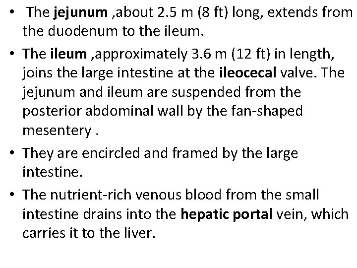  • The jejunum , about 2. 5 m (8 ft) long, extends from