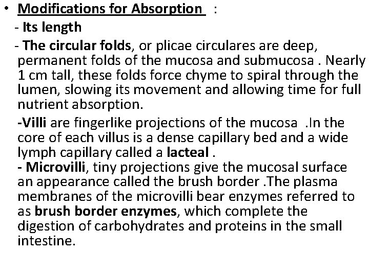  • Modifications for Absorption : - Its length - The circular folds, or