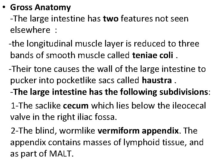 • Gross Anatomy -The large intestine has two features not seen elsewhere :