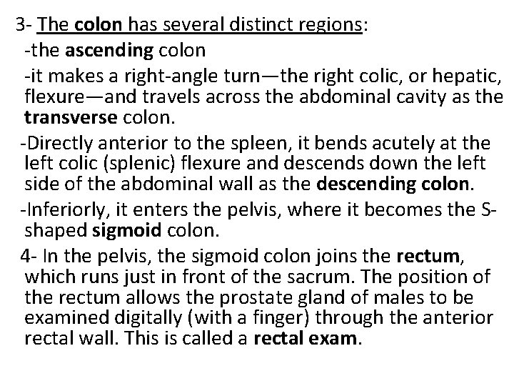  3 - The colon has several distinct regions: -the ascending colon -it makes