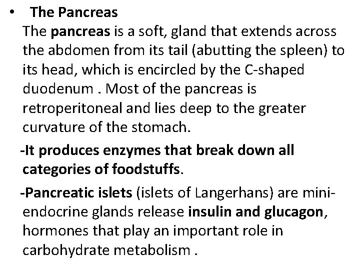  • The Pancreas The pancreas is a soft, gland that extends across the