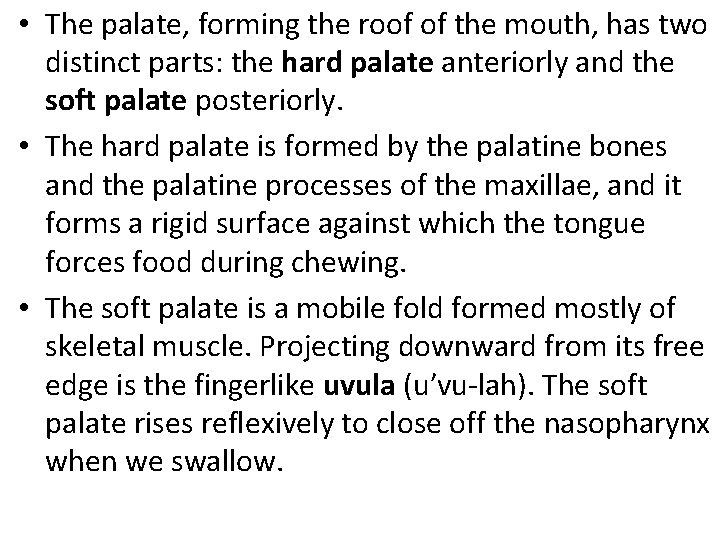  • The palate, forming the roof of the mouth, has two distinct parts: