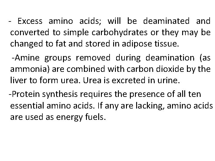  - Excess amino acids; will be deaminated and converted to simple carbohydrates or