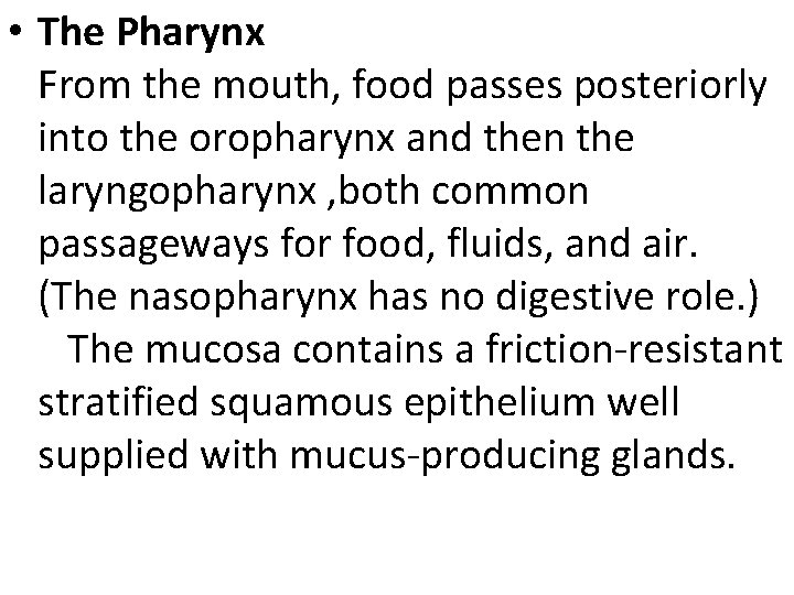  • The Pharynx From the mouth, food passes posteriorly into the oropharynx and