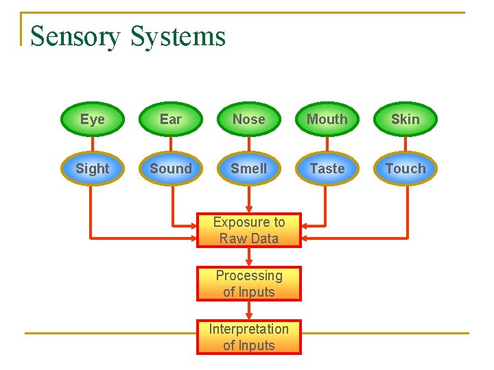 Sensory Systems Eye Ear Nose Mouth Skin Sight Sound Smell Taste Touch Exposure to
