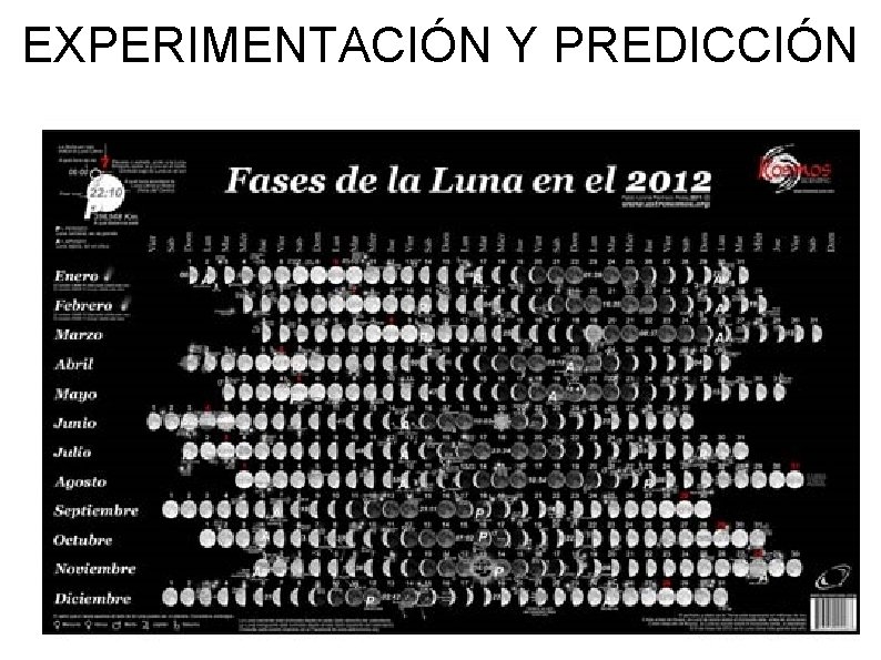 EXPERIMENTACIÓN Y PREDICCIÓN 