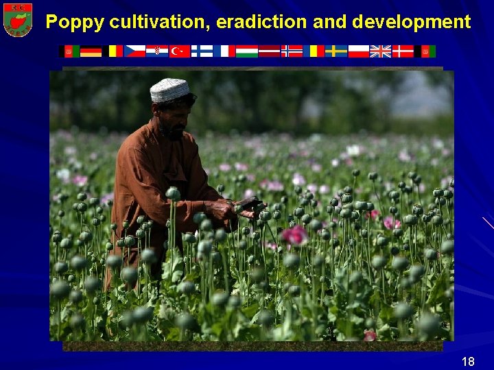 Poppy cultivation, eradiction and development N O H R C R T 18 Poppy cultivation, eradiction and development N O H R C R T 18