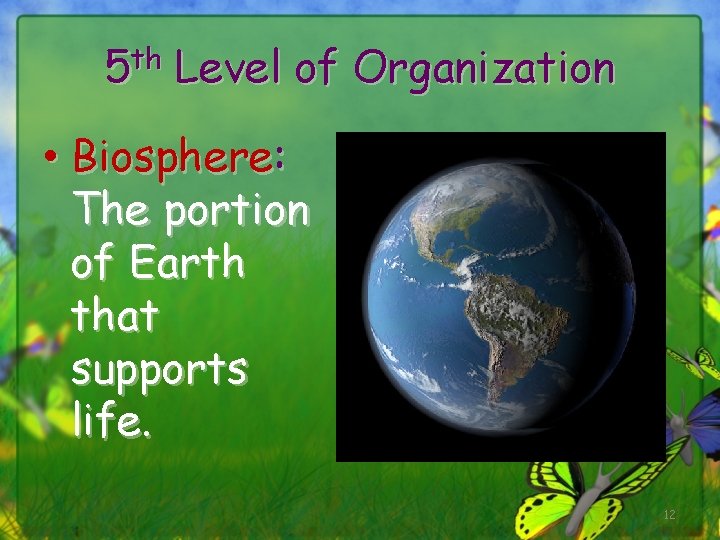 5 th Level of Organization • Biosphere: The portion of Earth that supports life.