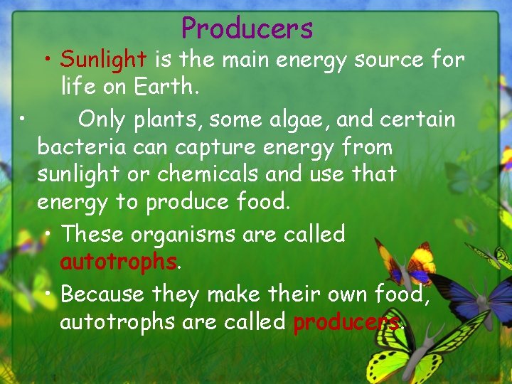 Producers • Sunlight is the main energy source for life on Earth. • Only