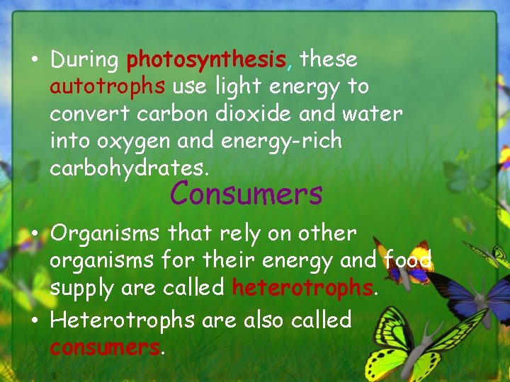  • During photosynthesis, these autotrophs use light energy to convert carbon dioxide and