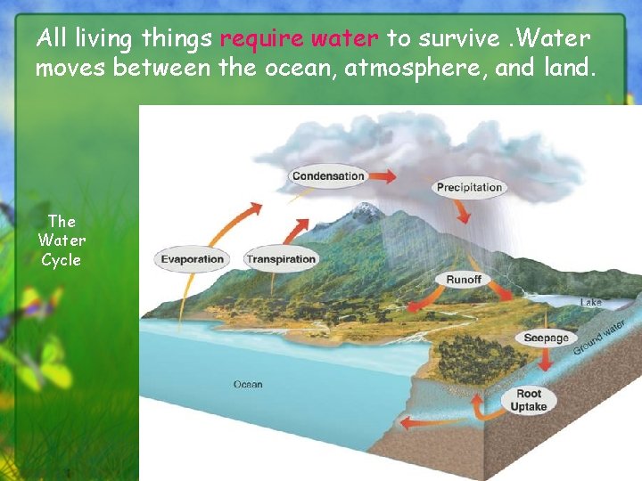 All living things require water to survive. Water moves between the ocean, atmosphere, and