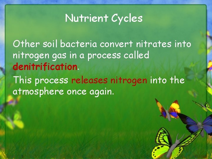 Nutrient Cycles Other soil bacteria convert nitrates into nitrogen gas in a process called